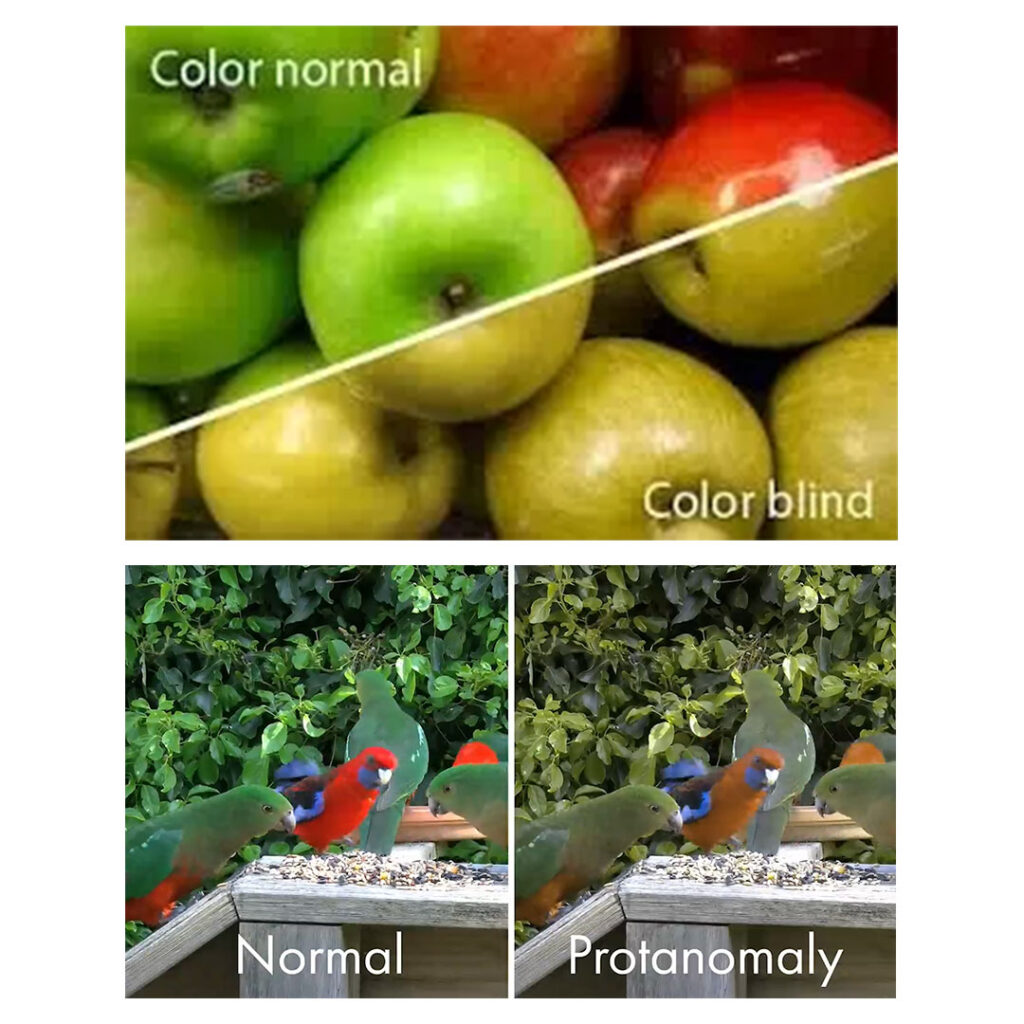 colour blindness type